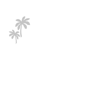 Shuttle Guacamayos